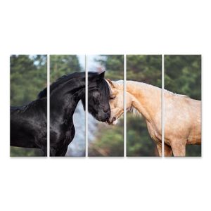 Pferde küssen nacht pferd schwarzer fries für Kinderzimmer Bilder