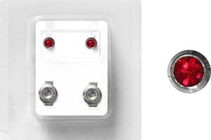 Erstohrstecker Chirurgenstahl Sterile Ohrstecker Zarge mit Stein in rot 4mm Erstohrstecker Chirurgenstahl Sterile Ohrstecker Zarge mit Stein in rot 4mm