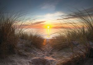 Vlies Fototapete Strand Meer Ostsee (368x254cm - 4 Bahnen) Natur Wohnzimmer Schlafzimmer Wandtapete Modern Tapete Latexdruck UV-Beständig Geruchsfrei Hohe Auflösung Montagefertig