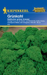 KIEPENKERL® Grünkohl Halbhoher grüner krauser - Gemüsesamen