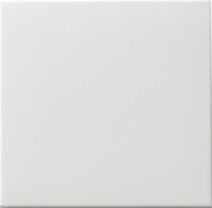 Gira WIPPE TASTSCHALTER WECHSEL (091603)