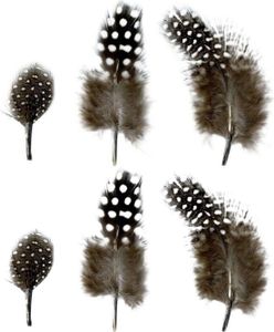 Naturfedern 2 bis 6 cm - 6 g