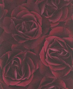 Rasch Tapete Crispy Paper rot Rosen 525625