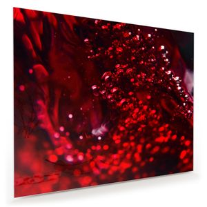 Glasbild Wandbild Rotwein  75x60cm in XXL für Wohnzimmer, Schlafzimmer, Badezimmer, Flur
