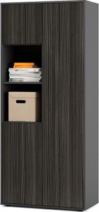 SIMPLYFURN Büroschrank Amira T20, Schrank mit zwei offenen Fächern, Anthrazit & Avola Anthrazit, Push-to-Open, 180x80x40 cm, Aktenschrank für Büro und Homeoffice