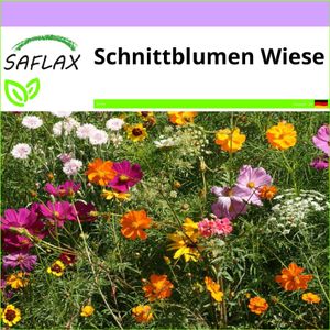 SAFLAX - Wildblumen: Schnittblumen Wiese - 1000 Samen - 20 Sorten