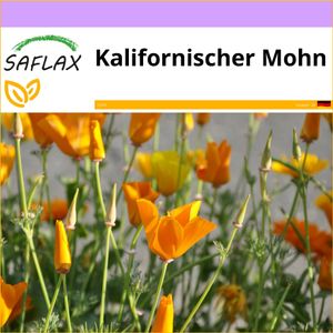 SAFLAX  - Kalifornischer Mohn - Eschscholzia californica - 1500 Samen