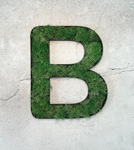 Islandmoos – Buchstabe B/Grasgrün