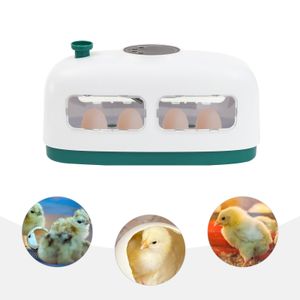 inkubátor s 8 vejci Automatický inkubátor Plně automatický inkubátor s 8 vejci Inkubátor vajec Brooder Inkubátor pro kuřata