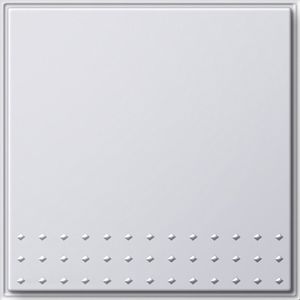 012666 Tastschalter kompl. mit Wippe RW