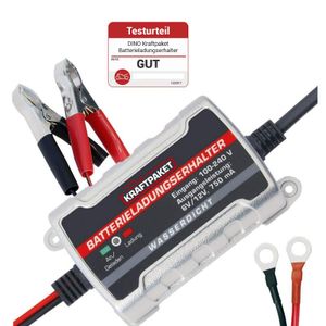 Dino Kraftpaket Batterie Erhaltungsgerät Batterieladungshalter 6V 12V 136303