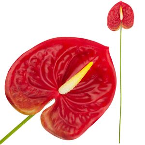 Cv15803-5 Anturium Gumowe Czerwone 60 Cm Kwiaty Sztuczne