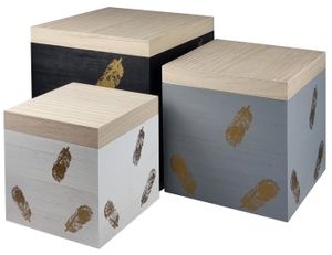 Holzkisten 3er Set Allzweckkiste mit Deckel Spielzeugkiste Aufbewahrung Holzbox