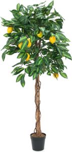 EUROPALMS Drzewko cytrynowe, sztuczna roślina, 150 cm