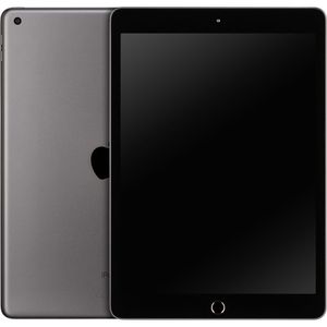 Apple 10.2inch iPad Wi-Fi 256GB Space Grey      MK2N3FD/A