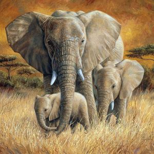 5D Diamond Painting Diamond Painting, Elefant DIY Diamond Painting by Number, 30*40cm