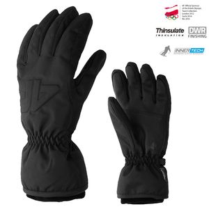 4F Herren Handschuhe Skihandschuhe RED001, Farbe: Schwarz, Große: L