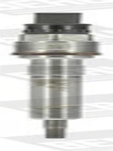 Świeca żarowa/płomieniowa BORGWARNER (BERU) PSG007