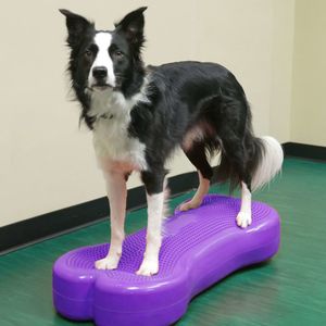 FitPAWS dysk balansujący dla zwierząt Giant K9FITbone PVC fioletowy