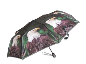 Taschenschirm Adler, Automatikschirm Schirm Schirme Tiere Tier Vogel Weißkopfseeadler