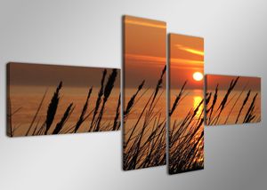 160 x 70 cm Bild auf Leinwand Gras Sonne 6523-SCT deutsche Marke und Lager  -  Die Bilder / das Wandbild / der Kunstdruck ist fertig gerahmt