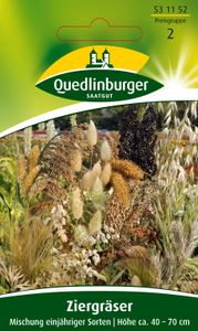 Quedlinburger Saatgut - Ziergräser Mischung - Samen - 531152