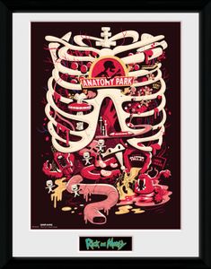 Rick And Morty Gerahmtes Poster Für Fans Und Sammler - Anatomie Park (40 x 30 cm)