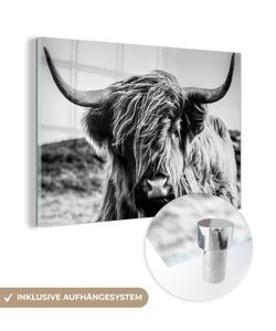 MuchoWow® Glasbilder - Bilder auf Wandbild - Foto auf Glas Kuh - Schottisches Hochlandrind - Schwarz - Weiß - Tier - Natur - Wildtiere 120x80 cm Wanddekoration aus Glas - Acrylglasbild - Acrylbilder - ildung