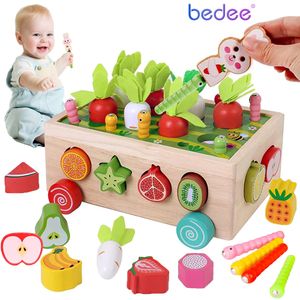 Montessori Spielzeug, Holzspielzeug, Montessori Sortierspiel Holzpuzzle Karottenernte, Lernspielzeug Geschenk für Kinder Kleinkind ab 2 3 4 Jahr