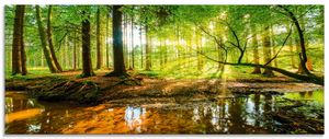 ARTland Glasbild Wald mit Bach Glasbild Größe: 125x50 cm