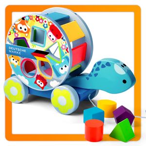 Holz-Spielzeug Schildkröte mit Bauklötze aus Holz; Zugspielzeug, Kinderspielzeug Sortierwürfel Holzzug Lernspielzeug