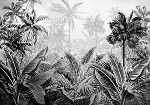 Vlies Fototapete Wald Dschungel (416cm x 254cm - 4 Bahnen) schwarz weiß Amazonia Regenwald Wohnzimmer Schlafzimmer Flur Wandtapete Tapete UV-Beständig Hohe Auflösung Montagefertig