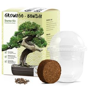 GROW2GO Bonsai Starter Kit inkl. GRATIS eBook - Australische Kiefer