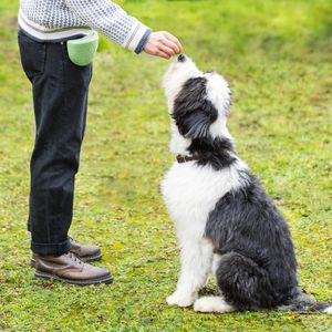 Navaris 2x Hunde Futterbeutel aus Silikon - Snackbeutel mit Clip - Leckerlibeutel Futtertasche Tasche für Leckerlis Hundekotbeutel - 2er Set Beutel