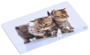 6 Stück Kesper Dekor-Brettchen, Motiv "Katze", Servierbrett, Frühstücksbrettchen, aus Melamin, Maße: 235 x 145 x 4 mm