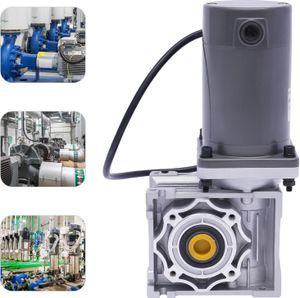 motoreduktor ślimakowy 12V DC Motoreduktor elektryczny do kamperów z samoblokującą się przekładnią (12V)