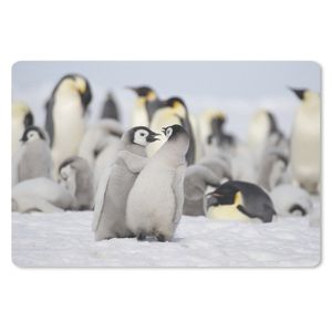 MuchoWow® Schreibtischunterlage Pinguine - Schnee - Tiere 60x40 cm - XXL Mauspad - Großes Mauspad