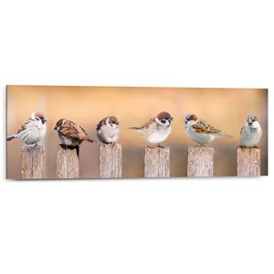 Wandbild Deco Panel Vogelfamilie Spatzen - Tiermotiv - Niedlich