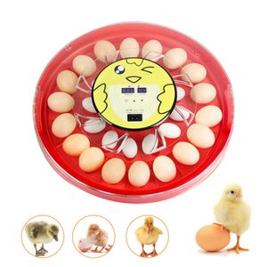 30 vajec Plně automatický inkubátor Líheň Inkubátor Inkubátor Regulace teploty Povrchový inkubátor Líheň