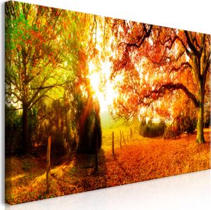 Wandbild Mega XXXL Wald 250x125 cm Einteiliger XXL-Format Kunstdruck zur Selbstmontage Leinwandbilder moderne Bilder DIY Wanddekoration Wohnung Deko Baum Bäume Natur c-B-0287-ak-e