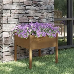 Prolenta Premium - Pflanzkübel Honigbraun 70x70x70 cm Massivholz Kiefer