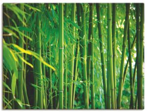 ARTland Leinwandbilder Bambus I Größe: 60x45 cm