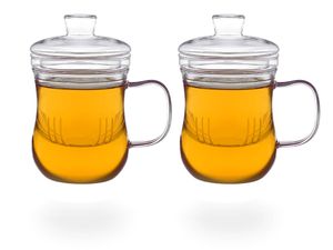 tea4chill Teetassen mit Sieb und Deckel, 2 Glastassen je 400ml, geschwungen, Borosilikatglas