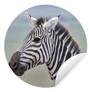 Fototapete - Rund - Zebra Nahaufnahme - Ø 50 cm - Selbstklebend
