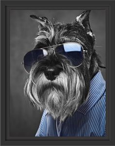 Lustiger Hund mit Hemd und Sonnenbrille B&W Detail im Schattenfugen Bilderrahmen / Format: 38x30 im Schattenfugen-Bilderrahmen / Kunstdruck auf hochwertigem Galeriekarton / hochwertige Leinwandbild Alternative