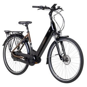 Breezer Powertrip EVO 3.1+ LS E Bike Damen Herren 150 - 180 cm Pedelec Trekking Elektro Bike Damenrad mit tiefem Einstieg, Farbe:schwarz/bronze, Rahmengröße:55 cm