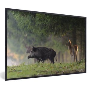 Poster mit Rahmen - Wildschwein - Rotwild - Wald - 30x20 cm - Poster mit zchwarzem Bilderrahmen