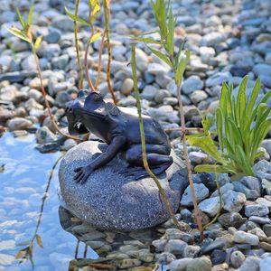 CLGarden Wasserspeier Figur Frosch auf Stein für Gartenteich Brunnenbecken Dekofigur Wasserspiel Teich