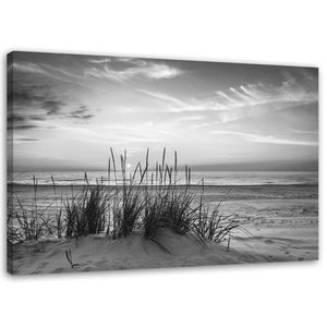Feeby Leinwandbild, Gräser am Strand - schwarz und weiß (P_1126), 100x70 cm