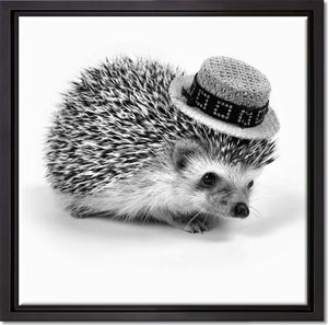 Lustiger Igel mit Hut Leinwandbild 40x40 cm im Bilderahmen Quadratisch / Wandbild  / Schattenfugenrahmen / Kein Poster